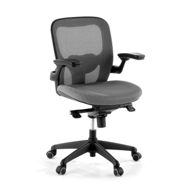 Colecci&oacute;n Silla de Oficina