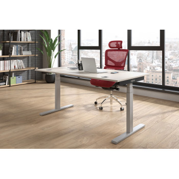 Erghos Smart Pro - Erghos smart pro mesa elevable electrica estructura aluminio - Imagen 2