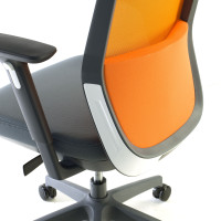 Cojin Lumbar