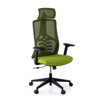 Silla de oficina Tekno, respaldo ergonómico, mecanismo sincronizado - verde