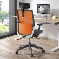 Diseño Ergonómico