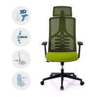 Respaldo Ergonómico