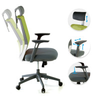 Cojin Lumbar