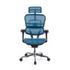 silla ergonomica azul ergohuman estructura negra red malla 5