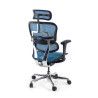 silla ergonomica azul ergohuman estructura negra red malla 6