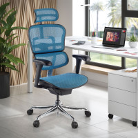 Silla ergonómica Ergohuman Gen2, estructura negra - azul Second image