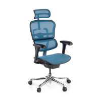 Silla ergonómica Ergohuman Gen2, estructura negra - azul