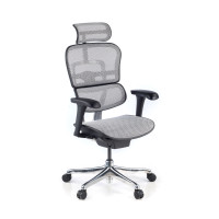 Silla ergonómica Ergohuman Gen2, estructura negra - gris