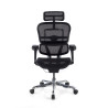 silla ergonomica negro ergohuman estructura negra red malla 5