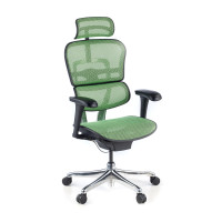 Silla ergonómica Ergohuman Gen2, estructura negra - verde