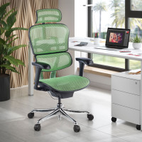 Silla ergonómica Ergohuman Gen2, estructura negra - verde Second image