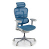 Silla Ergonómica Ergohuman Elite, asiento tapizado, estructura negra