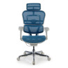 silla ergonomica azul ergohuman estructura blanca red malla 5