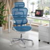 silla ergonomica azul ergohuman estructura blanca red malla 2