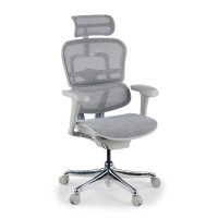 Silla ergonómica Ergohuman gen2, estructura gris - gris