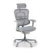 Silla ergonómica Ergohuman gen2, estructura gris - Gris
