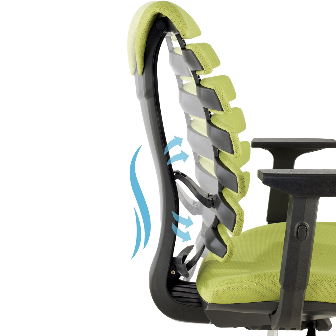 silla ergonomica verde spine tela 3