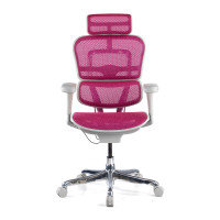 Silla ergonómica Ergohuman gen2, estructura gris - Rosa Second image