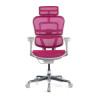 silla ergonomica rosa ergohuman estructura blanca red malla 3