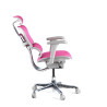 silla ergonomica rosa ergohuman estructura blanca red malla 4
