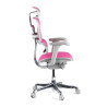 silla ergonomica rosa ergohuman estructura blanca red malla 5