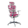 silla ergonomica rosa ergohuman estructura blanca red malla 6