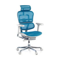 Silla ergonómica Ergohuman Elite, estructura blanca - azul