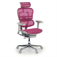 Silla ergonómica Ergohuman Elite, estructura blanca - Rosa