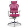 silla ergonomica rosa ergohuman elite estructura blanca red malla 3