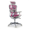 silla ergonomica rosa ergohuman elite estructura blanca red malla 6