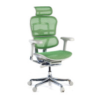 Silla ergonómica Ergohuman Elite, estructura blanca - verde