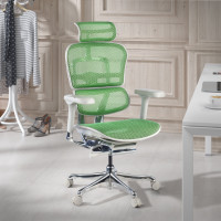 Silla ergonómica Ergohuman Elite, estructura blanca - verde Second image