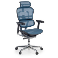 Silla ergonómica Ergohuman Elite, estructura negra - azul