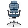 silla ergonomica azul ergohuman elite estructura negra red malla 3