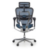silla ergonomica azul ergohuman elite estructura negra red malla 8