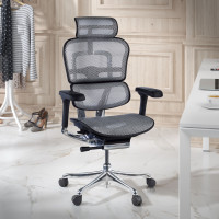 Silla ergonómica Ergohuman Elite, estructura negra - gris Second image