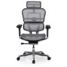 silla ergonomica gris ergohuman elite estructura negra red malla 3