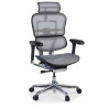Silla ergonómica Ergohuman Elite, estructura negra - Gris