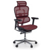 Silla ergonómica Ergohuman Elite, estructura negra - ROJO