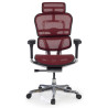 silla ergonomica rojo ergohuman elite estructura negra red malla 4