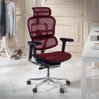 Silla ergonómica Ergohuman Elite, estructura negra - rojo Second image