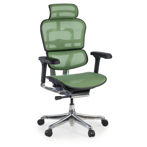 Silla ergonómica Ergohuman Elite, estructura negra - VERDE