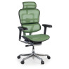 Silla ergonómica Ergohuman Elite, estructura negra - VERDE