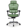 silla ergonomica verde ergohuman elite estructura negra red malla 3