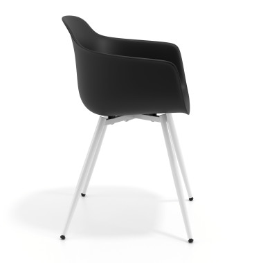 Colecci&oacute;n 4 patas