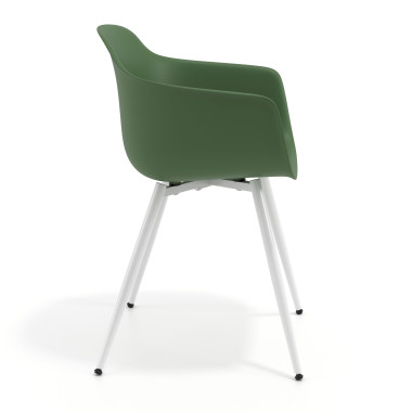 Colecci&oacute;n 4 patas