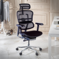 Silla Ergonómica Ergohuman Elite, asiento tapizado, estructura negra - negro Second image