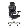 silla ergonomica negro ergohuman elite estructura negra red malla 1