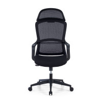 Doble Cojín lumbar