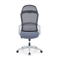 Doble Cojín lumbar